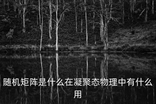 隨機(jī)矩陣是什么在凝聚態(tài)物理中有什么用