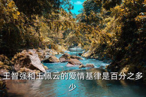王智強和王佩云的愛情基律是百分之多少