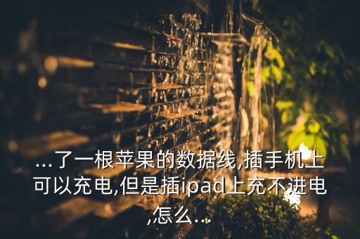 ipad不支持?jǐn)?shù)據(jù)線充電器,不在充電怎么辦?