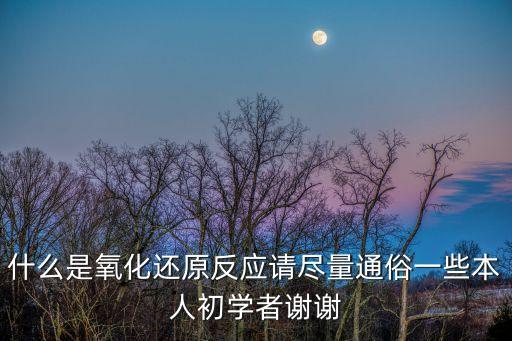 什么是氧化還原反應(yīng)請盡量通俗一些本人初學(xué)者謝謝