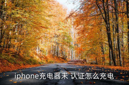 iphone充電器未 認(rèn)證怎么充電