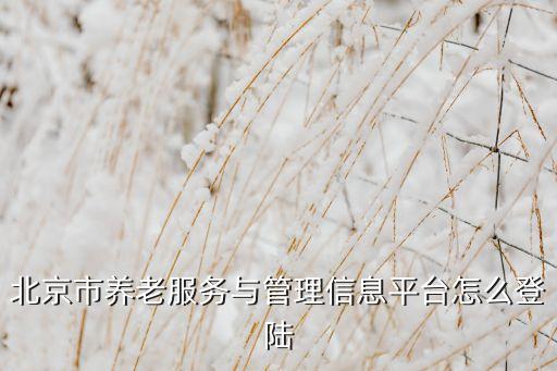 北京市養(yǎng)老服務(wù)與管理信息平臺怎么登陸