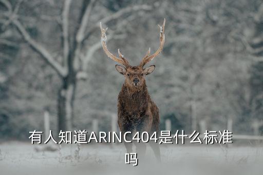 有人知道ARINC404是什么標(biāo)準(zhǔn)嗎