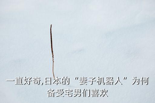 一直好奇,日本的“妻子機器人”為何備受宅男們喜歡