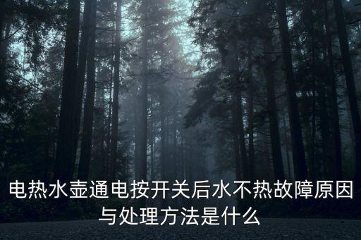 電熱水壺通電按開(kāi)關(guān)后水不熱故障原因與處理方法是什么