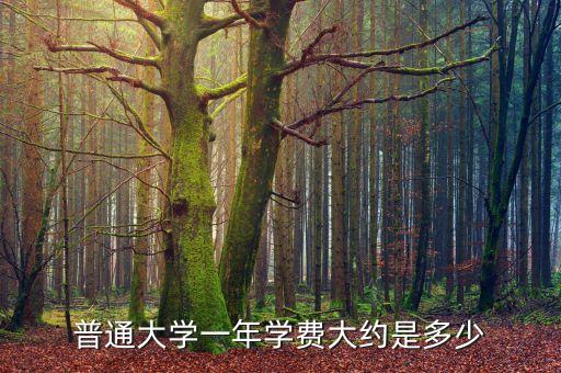 普通大學(xué)一年學(xué)費(fèi)大約是多少