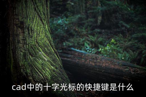 十字光標(biāo)，CAD如何變十字光標(biāo)