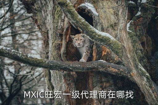 MXIC旺宏一級(jí)代理商在哪找