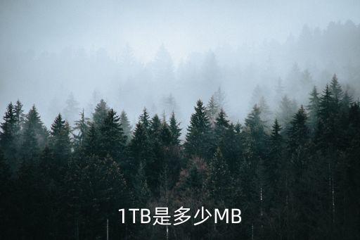 1TB是多少M(fèi)B