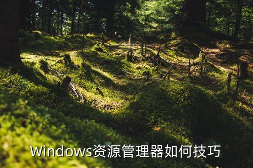 資源管理，電腦資源管理器有什么用