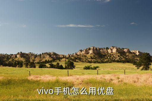 手機u盤使用方法，vivo手機怎么用優(yōu)盤
