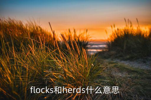 flocks和herds什么意思