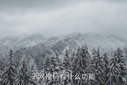 子網(wǎng)掩碼的作用是什么，子網(wǎng)掩碼有什么功能