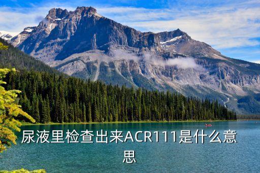 尿液里檢查出來ACR111是什么意思
