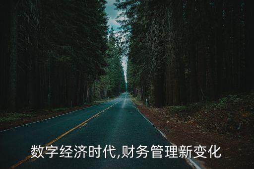 數(shù)字經(jīng)濟(jì)時(shí)代,財(cái)務(wù)管理新變化