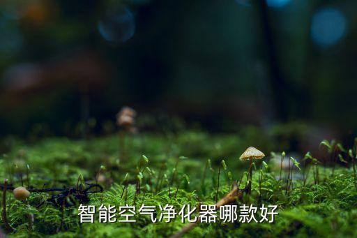 智能空氣凈化器哪款好