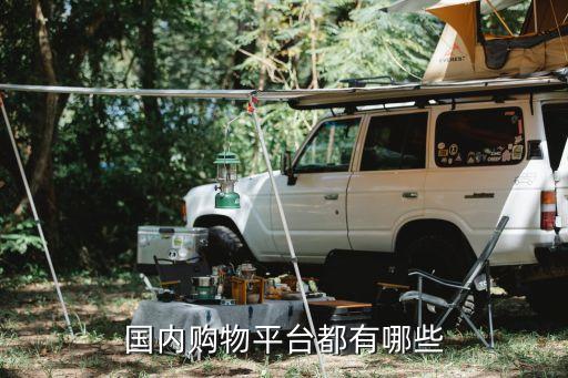 國內(nèi)購物平臺都有哪些