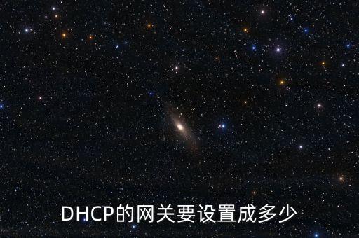 DHCP的網(wǎng)關要設置成多少