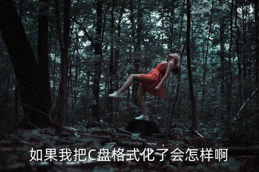 如果我把C盤(pán)格式化了會(huì)怎樣啊