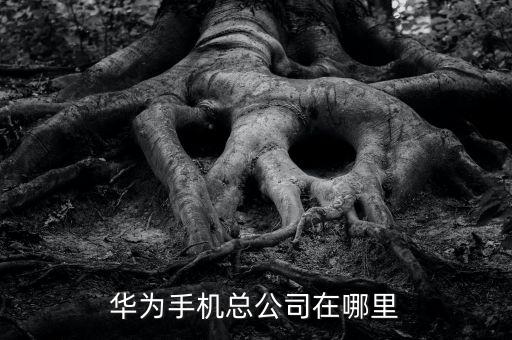華為技術(shù)有限公司，華為公司總部在哪里