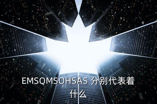 EMSQMSOHSAS 分別代表著什么