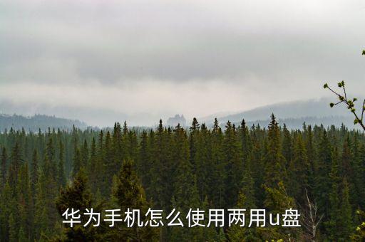 華為手機怎么使用兩用u盤