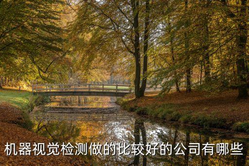 鞋革視覺檢測自動化設(shè)備,自動化設(shè)備視覺系統(tǒng)可以檢測什么?