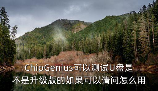 ChipGenius可以測試U盤是不是升級版的如果可以請問怎么用