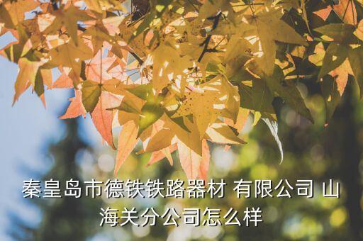 秦皇島市德鐵鐵路器材 有限公司 山海關(guān)分公司怎么樣