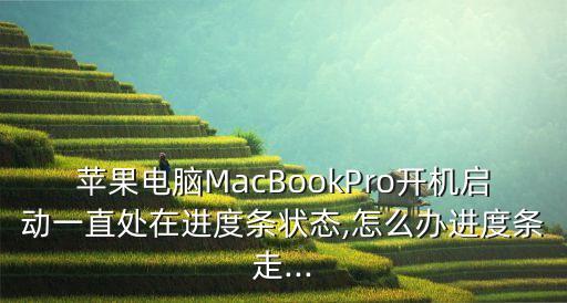 蘋果電腦MacBookPro開(kāi)機(jī)啟動(dòng)一直處在進(jìn)度條狀態(tài),怎么辦進(jìn)度條走...