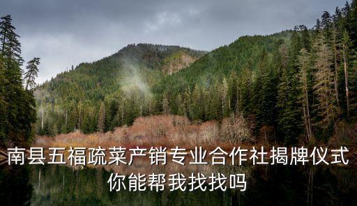 揭牌儀式圖片，南縣五福疏菜產(chǎn)銷(xiāo)專(zhuān)業(yè)合作社揭牌儀式你能幫我找找嗎