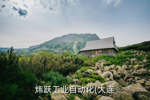 煒躍工業(yè)自動(dòng)化(大連