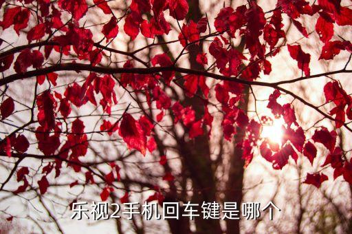 樂視2手機回車鍵是哪個