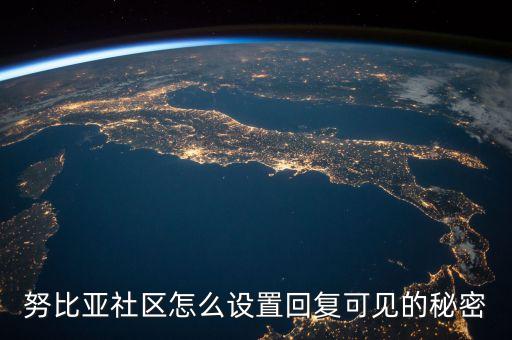 努比亞社區(qū)怎么設(shè)置回復(fù)可見(jiàn)的秘密