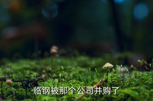 太鋼集團(tuán)信息自動(dòng)化公司,太鋼集團(tuán)公司旗下公司被并購(gòu)