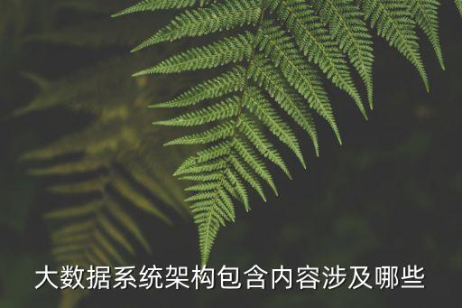 大數(shù)據(jù)系統(tǒng)架構(gòu)包含內(nèi)容涉及哪些