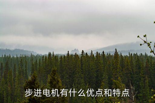步進(jìn)電機(jī)有什么優(yōu)點(diǎn)和特點(diǎn)
