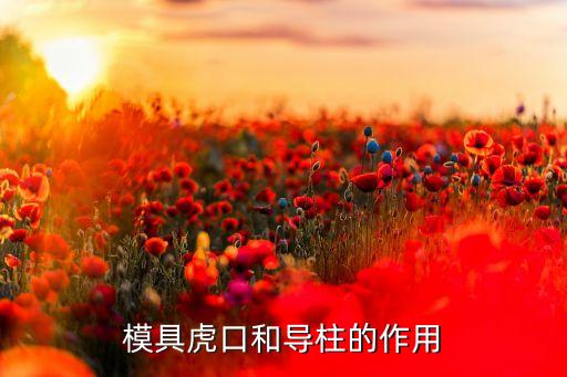 導柱，模具虎口和導柱的作用