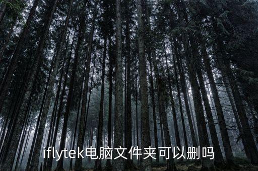 iflytek電腦文件夾可以刪嗎