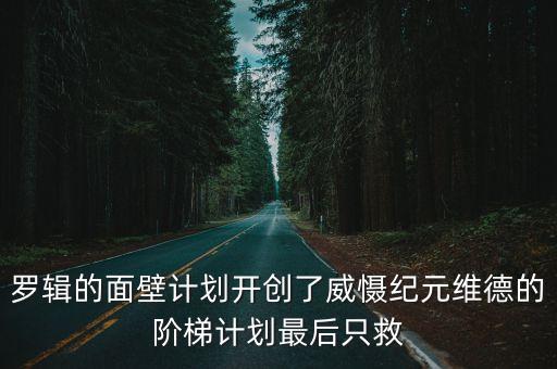 羅輯的面壁計劃開創(chuàng)了威懾紀元維德的階梯計劃最后只救