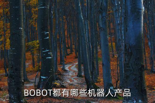 BOBOT都有哪些機(jī)器人產(chǎn)品