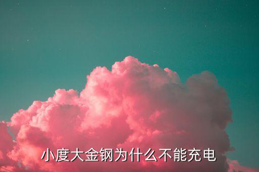 小度大金鋼為什么不能充電