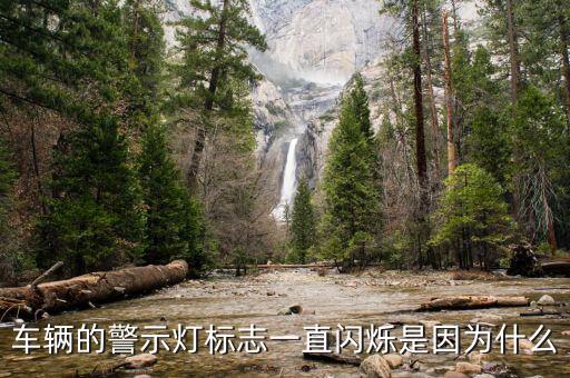 車輛的警示燈標志一直閃爍是因為什么