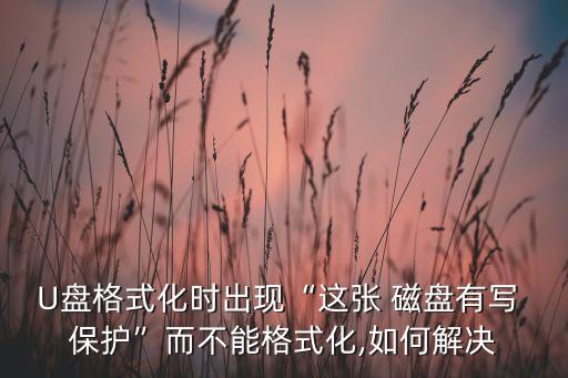 U盤格式化時(shí)出現(xiàn)“這張 磁盤有寫 保護(hù)”而不能格式化,如何解決