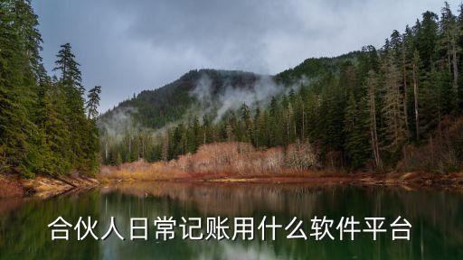 合伙人日常記賬用什么軟件平臺