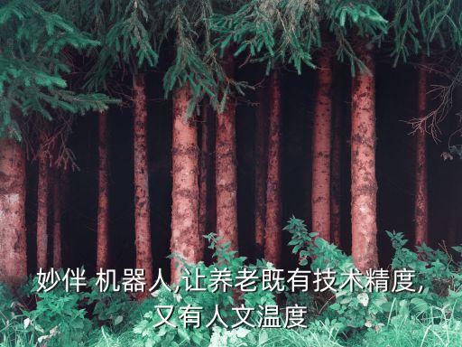 智能老年人用的機器人,有伺候老年人的機器人嗎