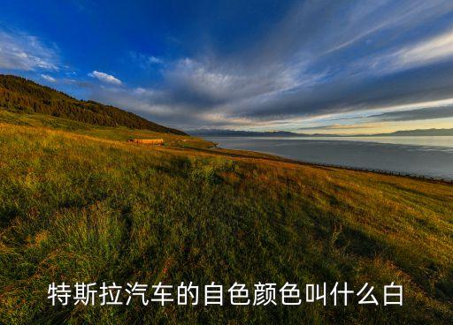 特斯拉型號，Tesla買哪款型號最好