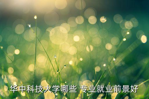 華中科技大學哪些 專業(yè)就業(yè)前景好