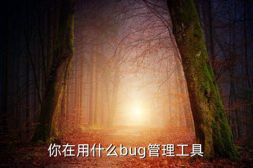 你在用什么bug管理工具
