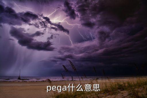 pega什么意思